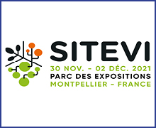 Logo SITEVI 2021