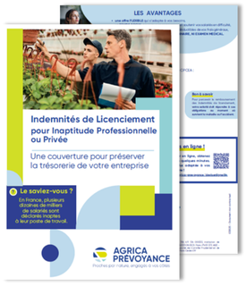 Flyer ILIPP