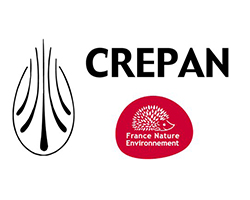 Le Crépan