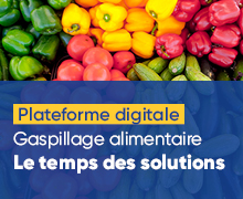 Plateforme digitale « Gaspillage alimentaire, le temps des solutions »