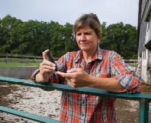 Partenariat Agrica & Clinatec _ Diabète et stress