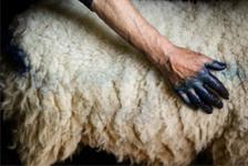 photo Amanda Meunier nouveaux regards 2026