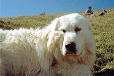 Chloé Aubert nouveaux regards 2026