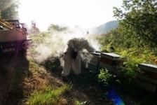 Julie Bouchardon nouveaux regards 2026