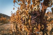 photo Julien Zurita nouveaux regards 2026