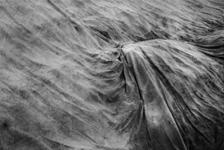 photo Salomé Gaeta nouveaux regards 2026