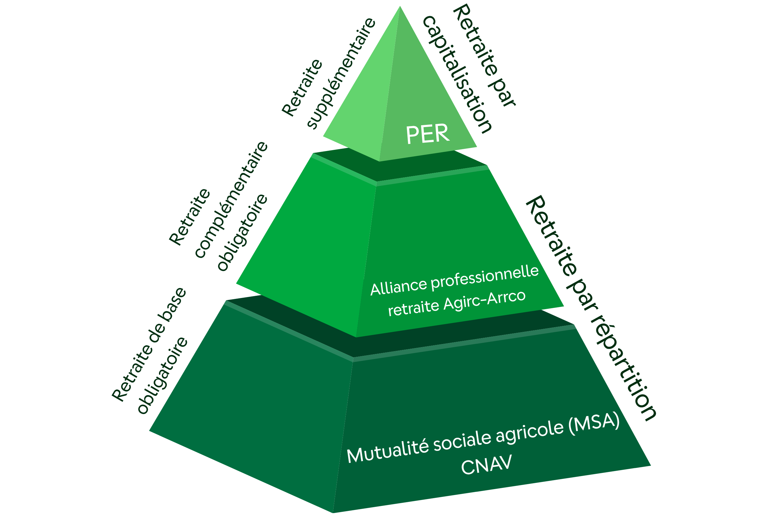 schemas-site-web-1.png