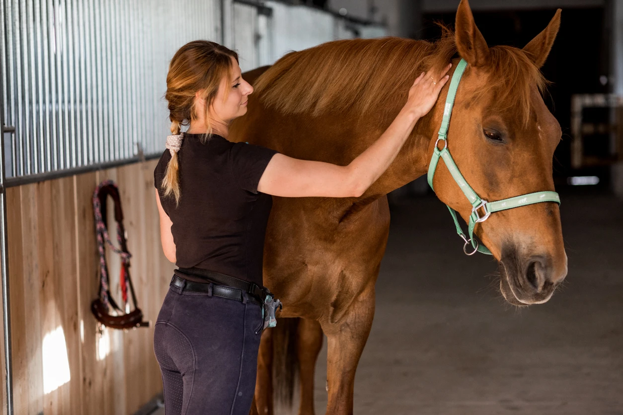 centres-equestres1.webp