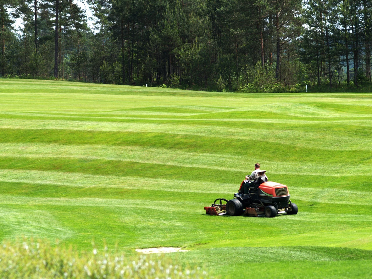 golf.webp