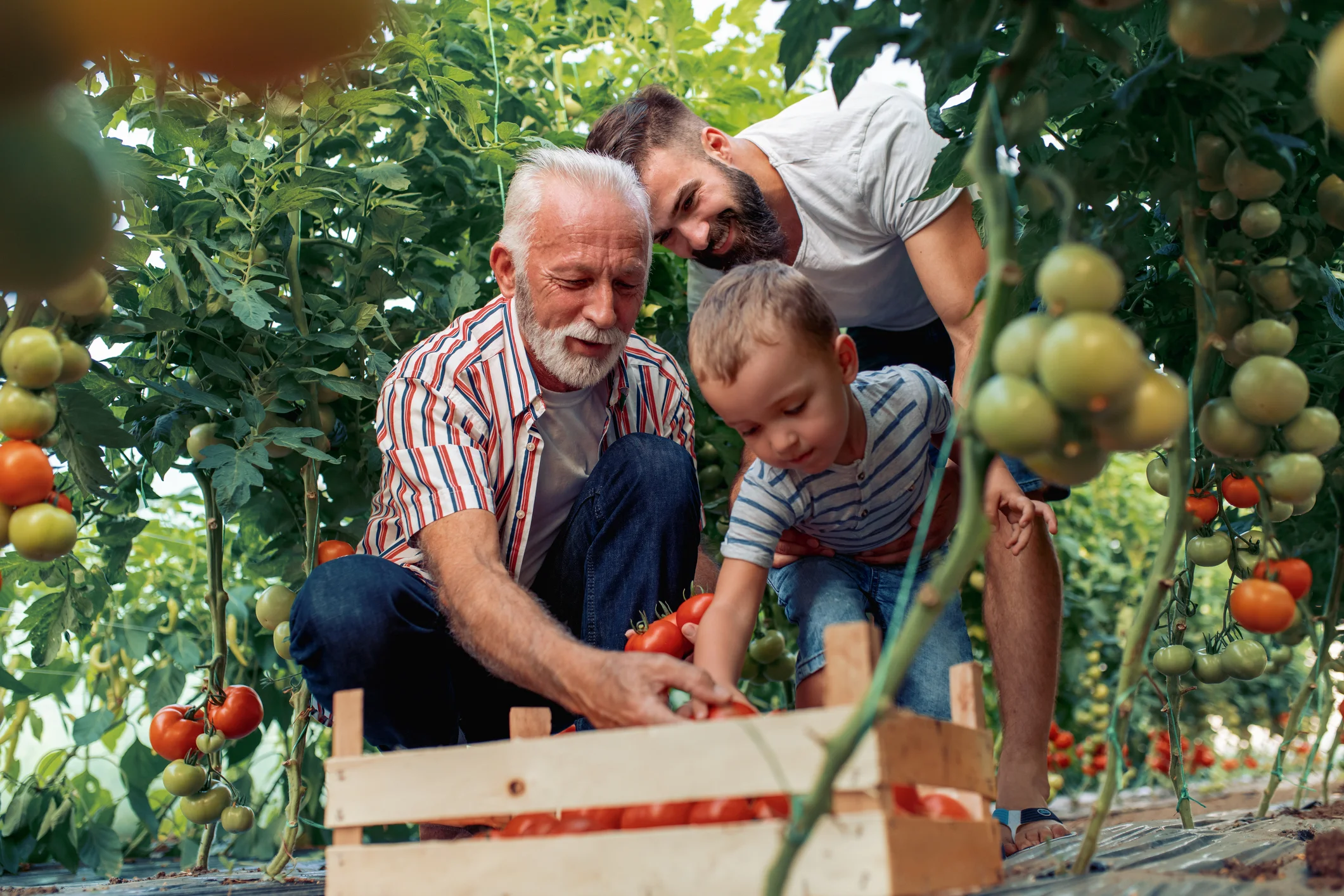istock-990798752_intergeneration.webp