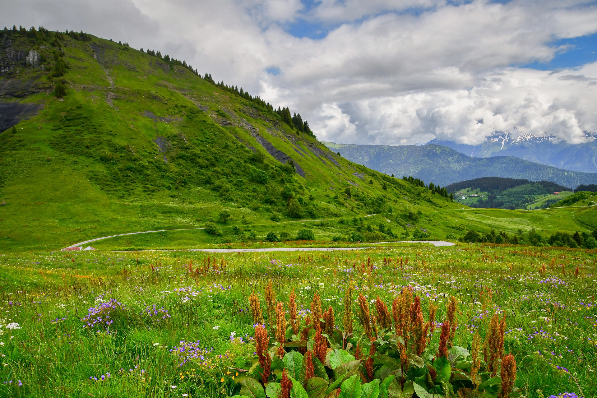 Paysage